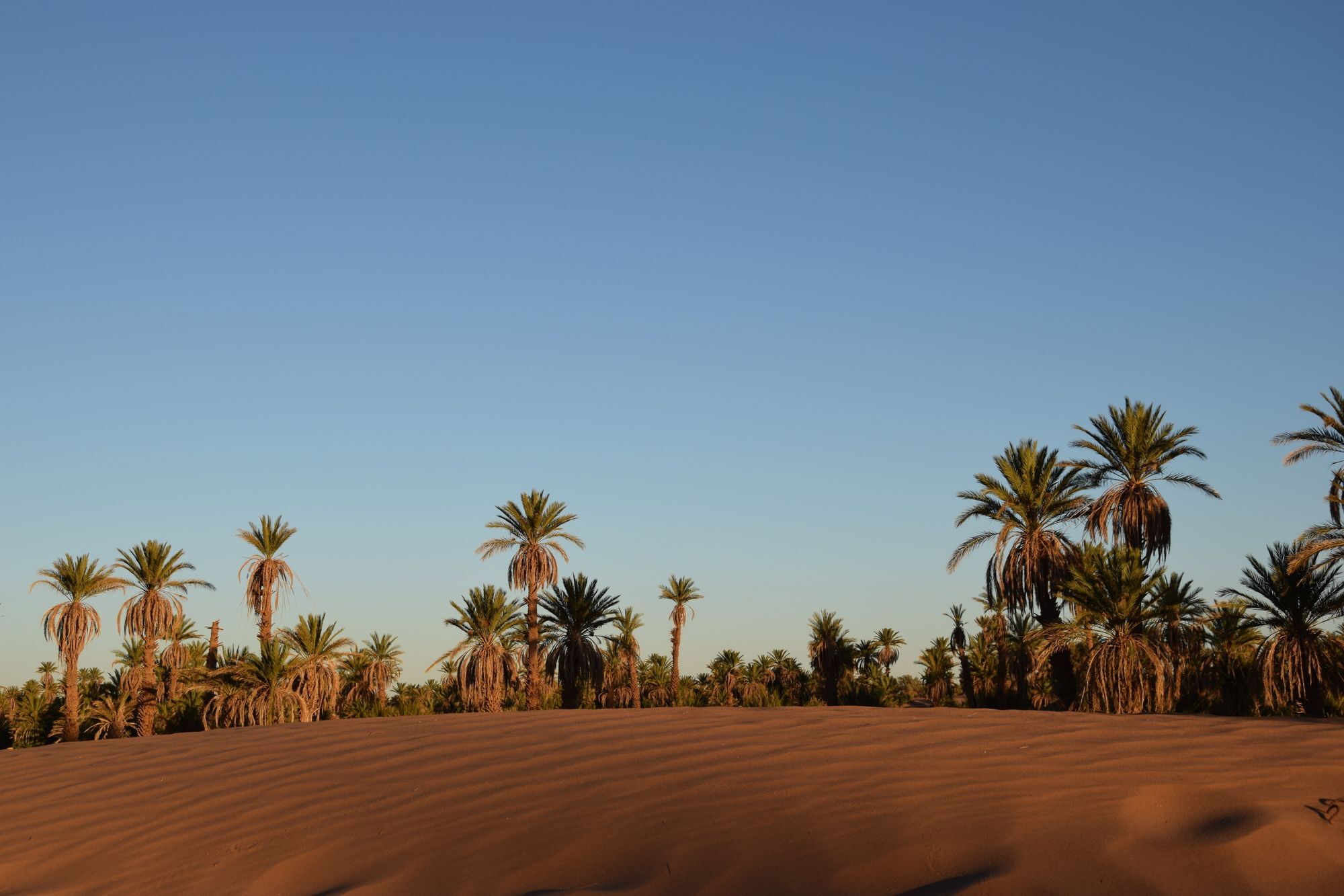 Carrefour Des Nomades Hotel Oulad Driss Exterior photo